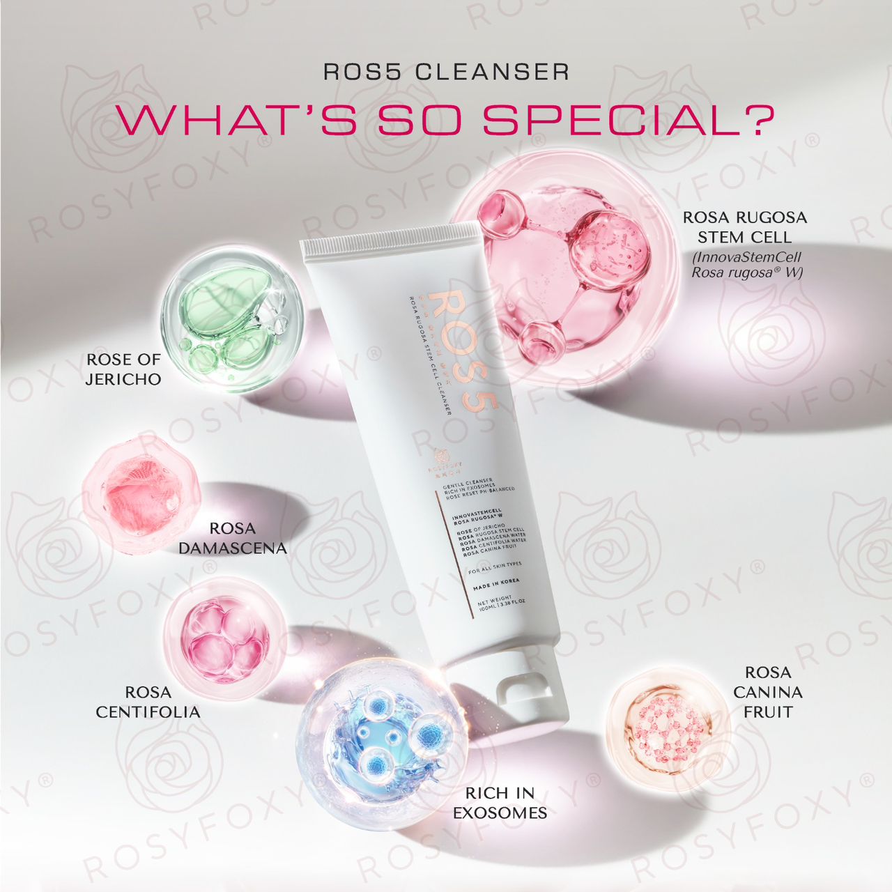ROS5 Rosa Rugosa Stem Cell Cleanser
